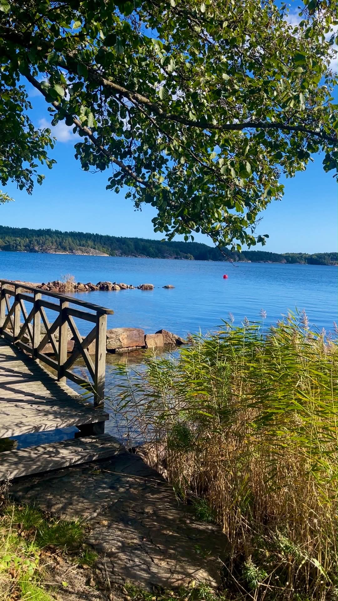 Brygge og sjøbad ved GodKog Lillesand